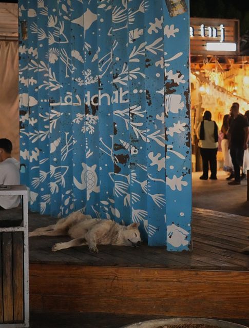 Night Bazaar