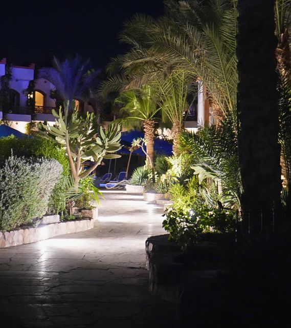 Seafront by Night