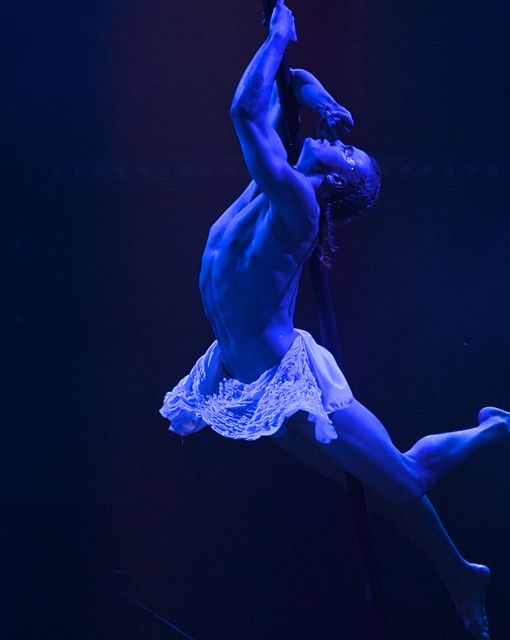 Aerial Duo